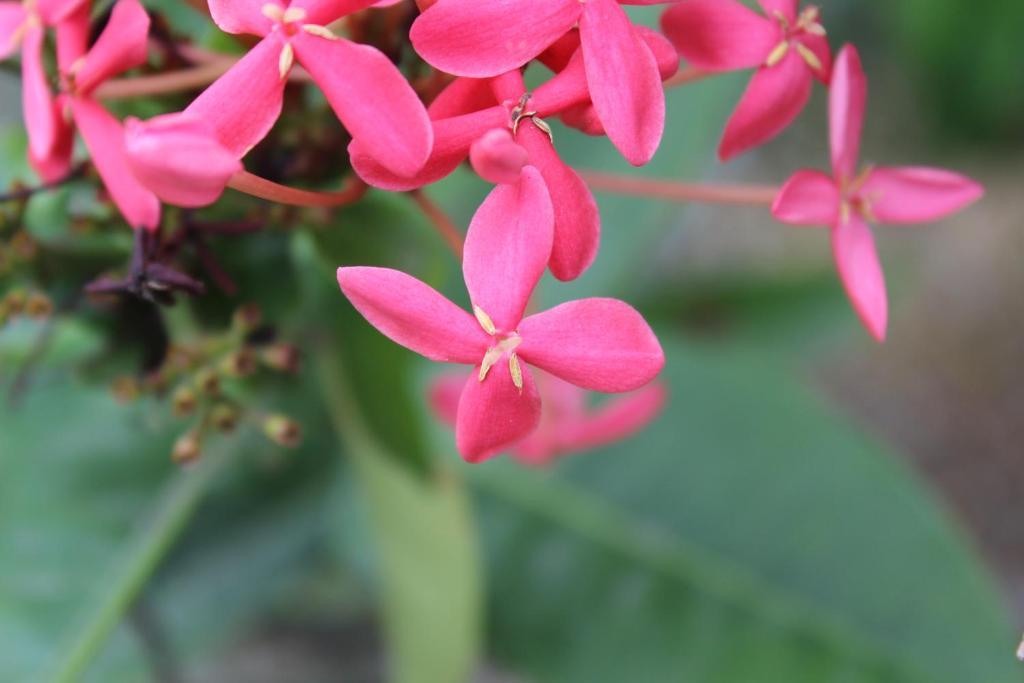 Holiday home Ban Tai River Gardens *